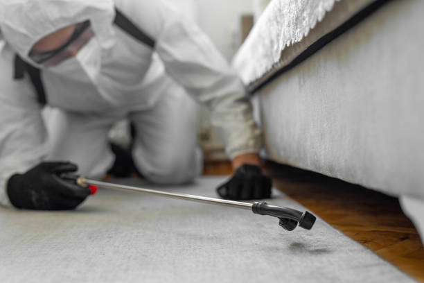 Professional Rodent Control technician working in Strathmore, CA
