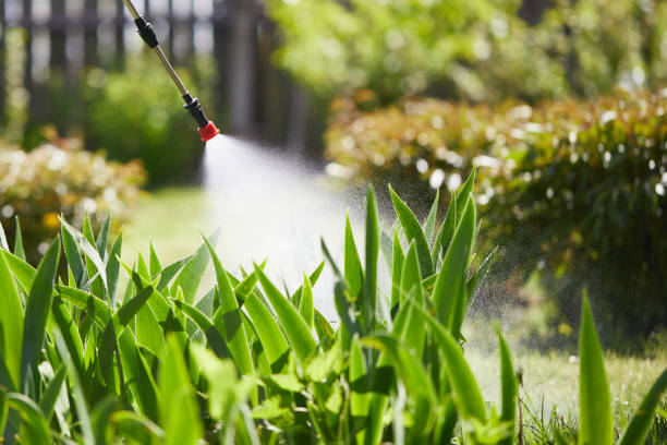24/7 Emergency Rodent Control experts in Strathmore, CA