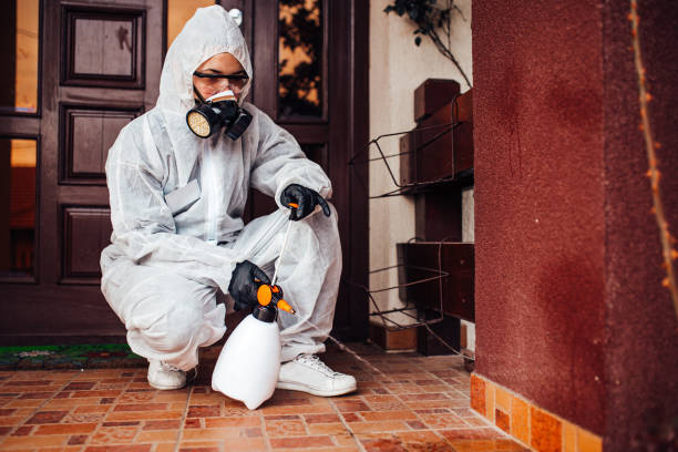 Reliable Rodent Control contractor in Strathmore, CA by Nex Pest Control