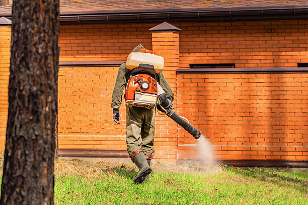 Top rated local Rodent Control specialists in Strathmore, CA